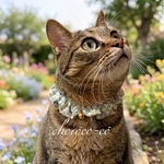 猫用♡シュシュ首輪～ネモフィラ風～