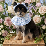«犬用»ギンガムチェック レーススタイ＆シュシュ