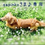 sapinkoさま♪専用