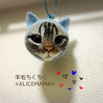 猫玉☆アメショ