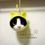 猫玉☆白黒ハチワレ