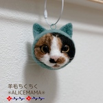 猫玉☆三毛