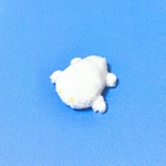 白トカゲ（インドver.）