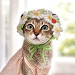 🌼 マーガレットのお花ニット帽子 🌼