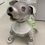 【スタイ】aibo ちゃんの　麻混ギンガムチェックスタイ