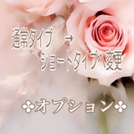 肩掛け仕様（ナスカンタイプ）→斜め掛け仕様（Ｄカンタイプ）へ変更　その他追加オプション