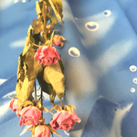 ミニ薔薇のドライフラワー