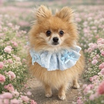 Ice Blue Lace Frill Bib ／犬　猫　スタイ　ビブ　フリル