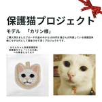 保護猫応援プロジェクト