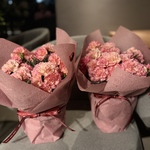 🈹まだ間に合う母の日🈹豪華ボリュームカーネーション鉢★母の日★豪華母の日フラワーギフト　人気カーネーション鉢　母の日ギフト　母の日　母の日花