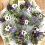 母の日ギフト　Lilas Garden（リラ・ガーデン） 〜ライラックの花香る、初夏の庭園〜