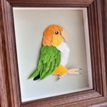 紙のシロハラインコ【デフォルメシリーズ】