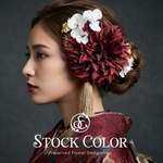 大輪ダリアのヘッドドレス/ヘアアクセサリー(ダークレッド)＊結婚式・成人式・ウェディングドレスに