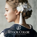 ミニ胡蝶蘭と水引飾りのヘッドドレス ヘアアクセサリー 髪飾り＊ウェディング 結婚式 白無垢 成人式 前撮り 卒業式 袴 胡蝶蘭 水引