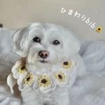 🌻ひまわりのbibペット用ビブ(つけ襟)𓂃♡
