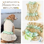 大型犬　濡らしてひんやりクール🍋　Moon