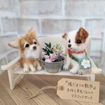 羊毛フェルト★チワワ★ジャックラッセルテリア