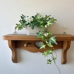 【観葉植物代わりのフェイクグリーン】人工観葉植物