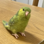※専用ページです※Deva Essential様のサザナミインコ ちゃんです。羊毛フェルト♪