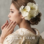 胡蝶蘭とダイヤモンドリリーのヘッドドレス・ヘアアクセサリー(ホワイトグリーン)＊ウェディング 結婚式 成人式 卒業式 白無垢 色打掛 和装 袴 前撮り 後撮り髪飾り