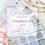 complete set 【18】