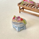 ミニチュア多肉植物の寄せ植え（流木No.01）