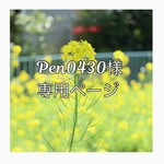 Pen0430様専用ページ