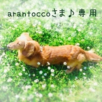 arantoccoさま♪専用