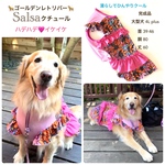 大型犬　完成品　