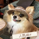 【DL編み図】犬用麦わら帽子　小型犬用