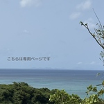 🌺Y様専用ページ🌺