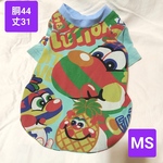 犬服 胴44 ヴィンテージ Tシャツ ☆218