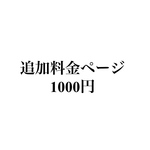 追加料金ページ【1000円】