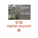 maron-kurumiさま専用生おから＆バニラ＆チョコチップクッキー