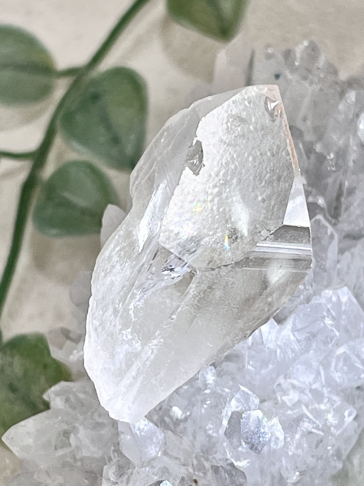 竜の鱗水晶 チャネリング レインボー ピンクレムリアンシード
