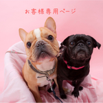 フルンチブルピアス