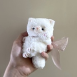大きなリボンの小さな赤ちゃん白猫
