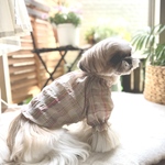 《犬服》　ネオンチェックのふんわりサマーチュニック(キャンディポップ)