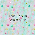 erina-3777 様ご専用ページです。