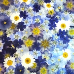new♡作家様必見♡押し花MIXセット♡押し花セット