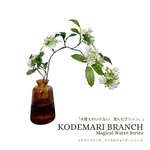 コデマリブランチ（ブラウンベース）マジカルウォーター（フェイクグリーン・人工観葉植物）Magical Water Series : KODEMARI  BRANCH