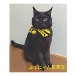 鬼のパンツ柄シュシュタイプ猫ちゃんの首輪