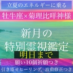明日まで！願い10個【蠍座の満月】霊視鑑定、占い、祈願、引き寄せヒーリング、波動修正無料