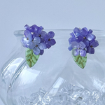 「お耳に紫陽花咲いてるよ」のピアス/イヤリング