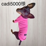 cadi5000様
