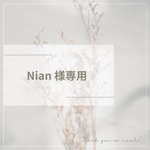 【Nian様専用】ネイルチップ