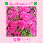 🍀okabekasugaさま専用ページ🍀