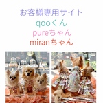 ハーネス ☆ お客様ご注文分専用サイト  qoo君 pureちゃん miranちゃん