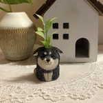 【受注制作】黒柴犬さんのフェイクグリーンホルダー♡
