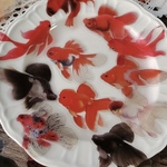 再販❗️金魚PETシールステッカー 